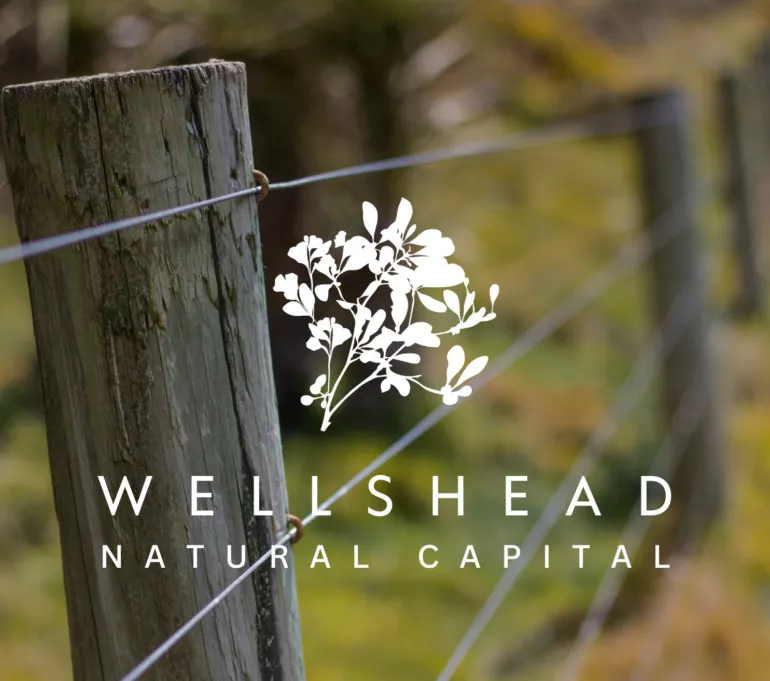 <p><b>Wellshead Natural Capital</b></p> - What We Do