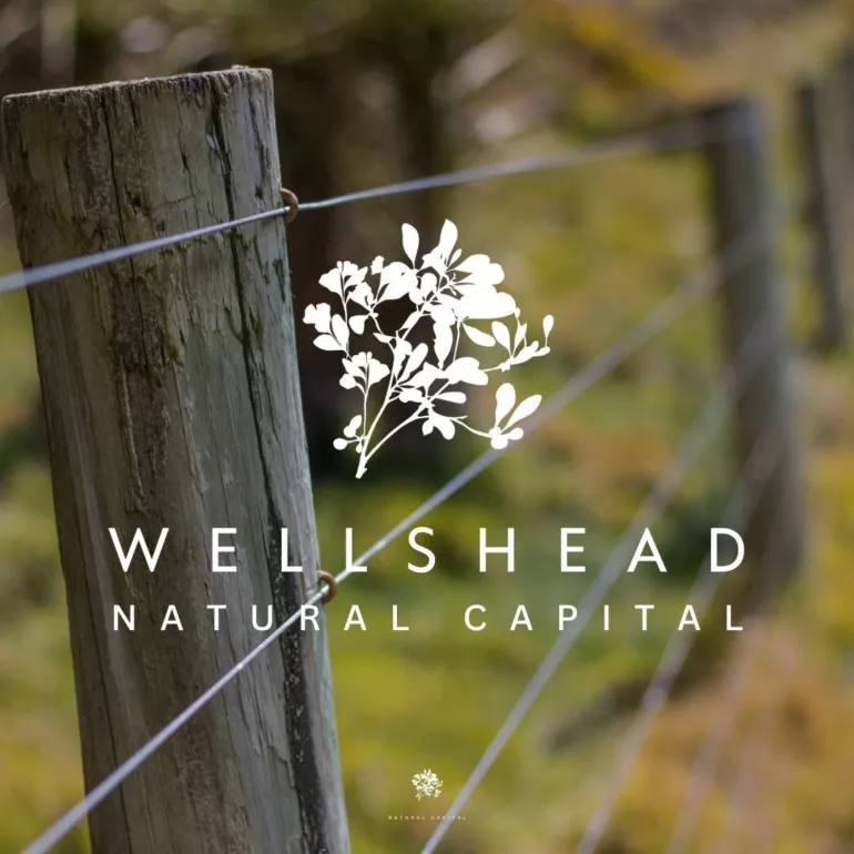 <p>Wellshead Natural Capital</p> - Who We Are