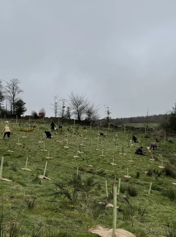 Wellshead Estate - Project - Wellsheead Natural Capital